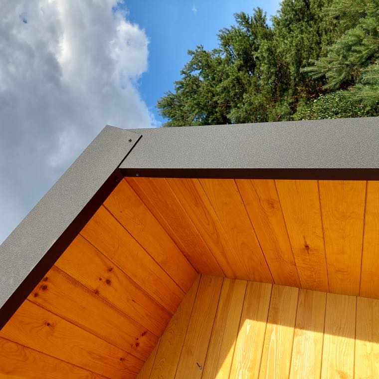 Wizualizacja: Barn 35 - parterowy